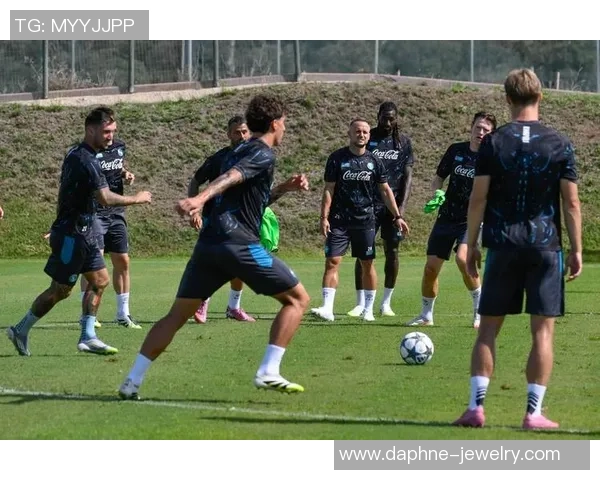 欧冠精彩对决：那不勒斯逆转多特蒙德引发全场狂欢集锦回顾